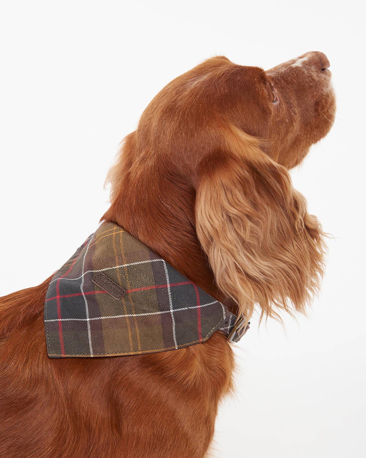 An image of the Barbour Barbour Tartan Dog Bandana