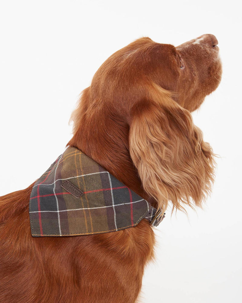 An image of the Barbour Barbour Tartan Dog Bandana
