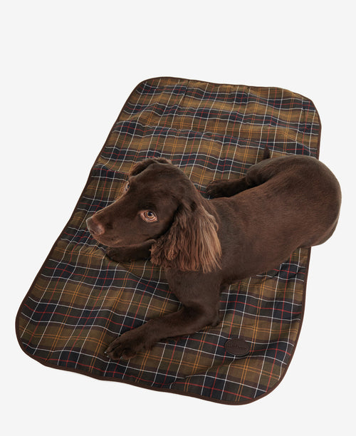 Medium Dog Blanket