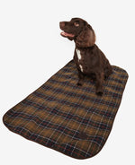 Medium Dog Blanket