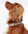 An image of the Barbour Reflective Tartan Dog Collar