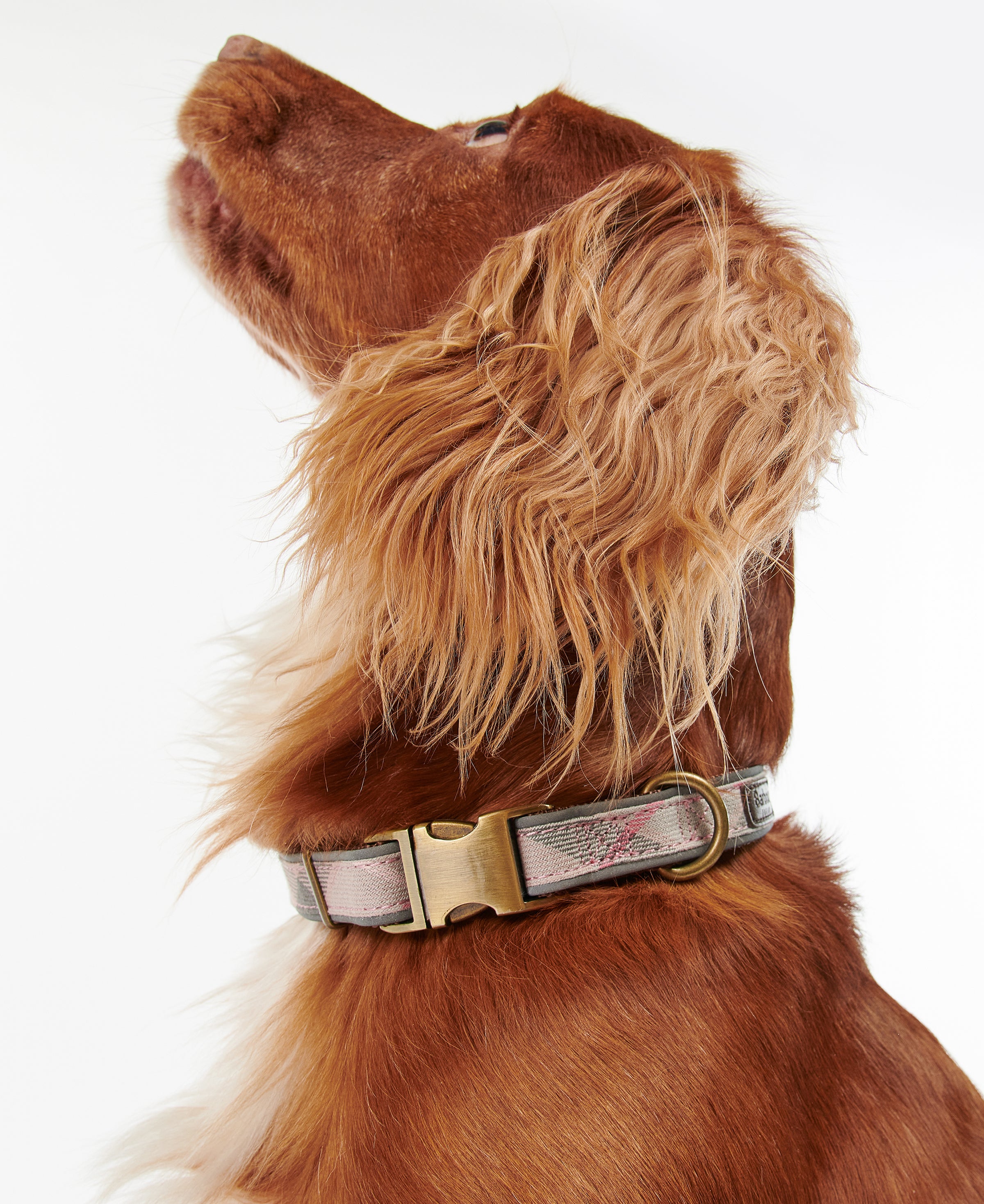 An image of the Barbour Reflective Tartan Dog Collar