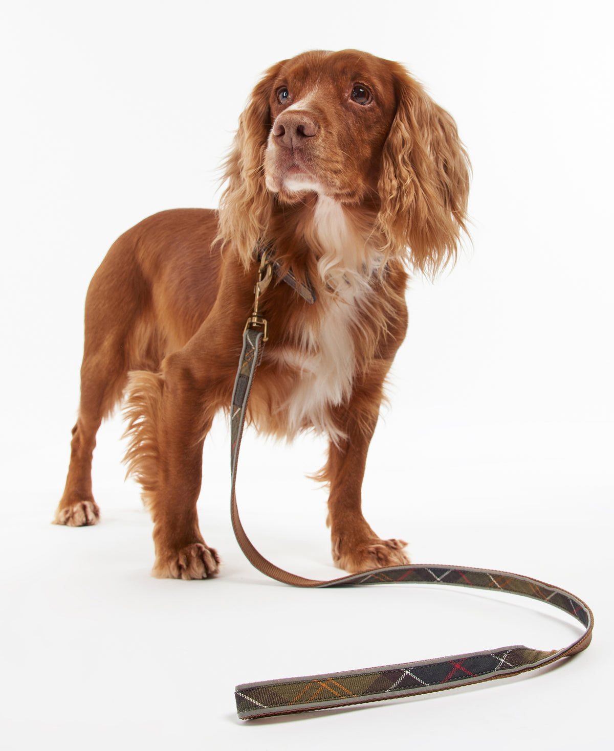 An image of the Barbour Reflective Tartan Dog Lead