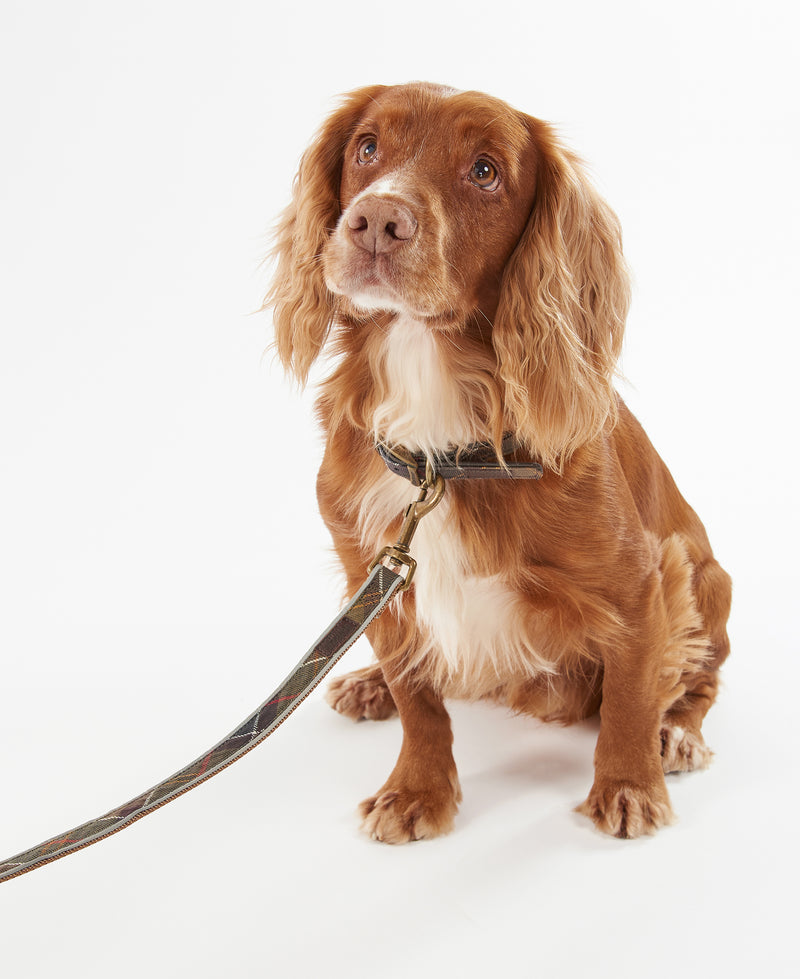 An image of the Barbour Reflective Tartan Dog Lead