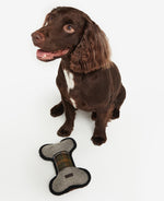 An image of a dog with the Barbour Bone Dog Toy.
