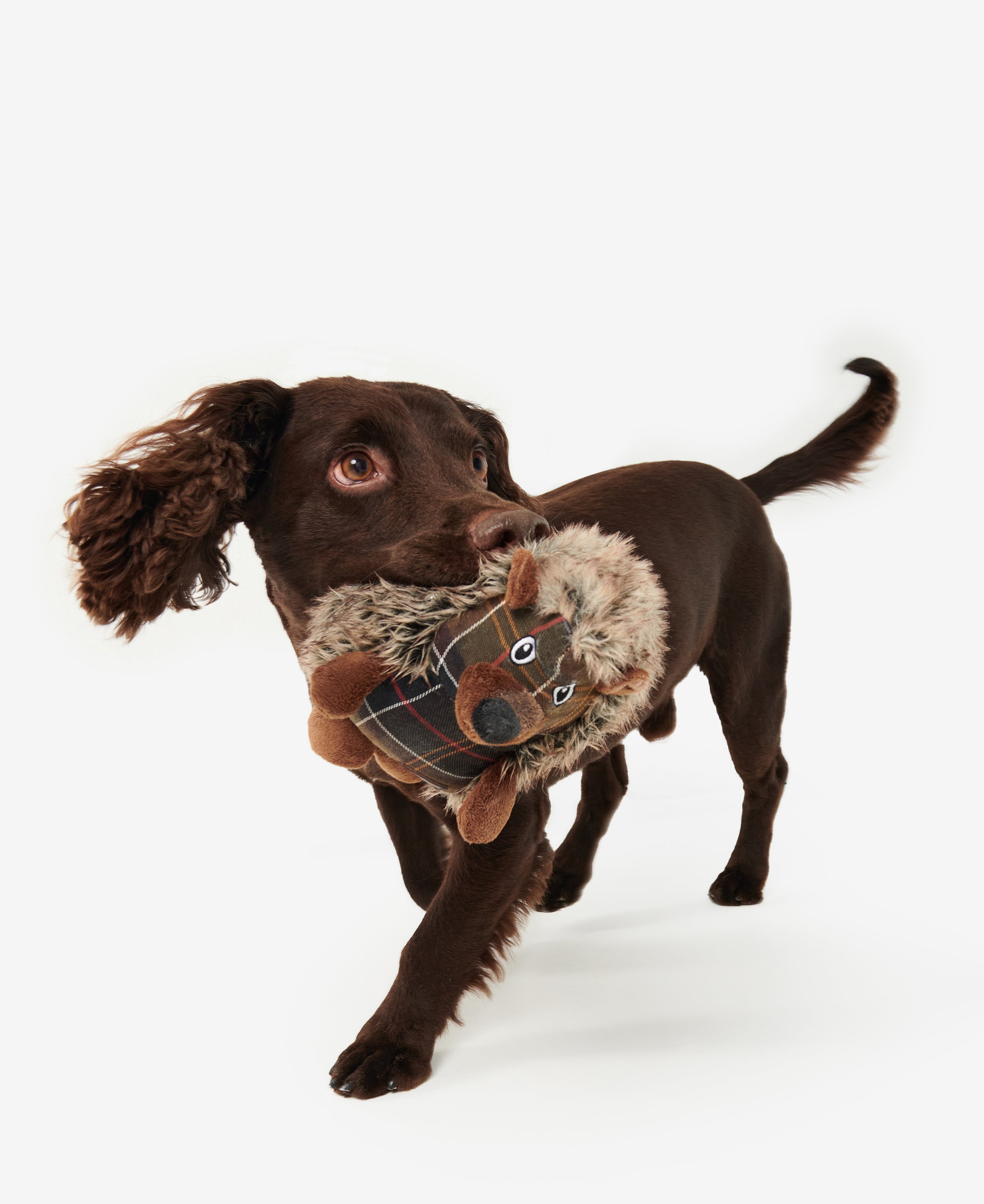 An image of the Barbour Hedgehog Dog Toy
