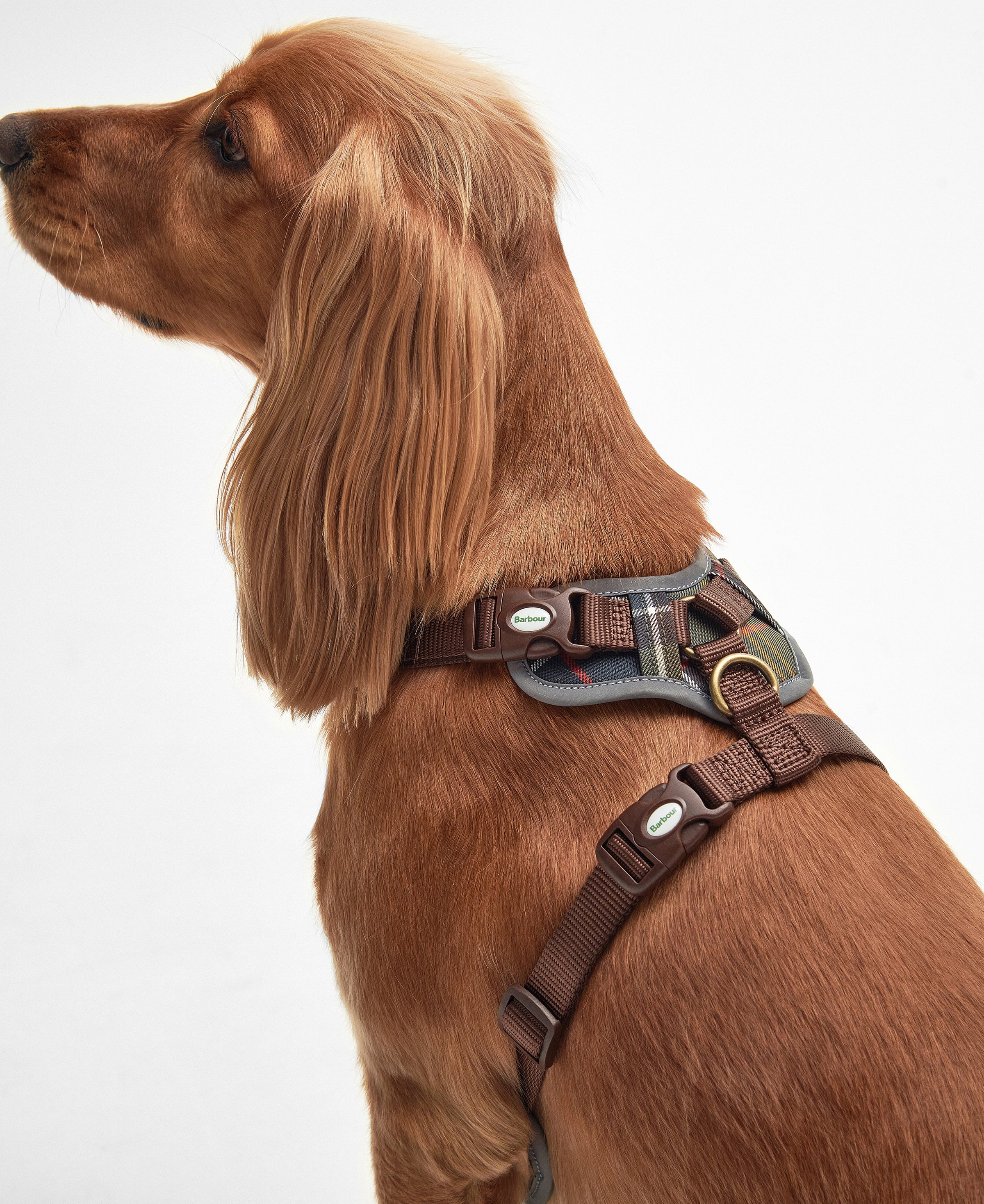 Barbour Fully Adjustable Harness