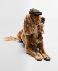 An image of the Barbour Dog Wax Flat Cap