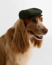 Wilkin Dog Flat Cap