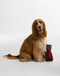 Llama Dog Toy