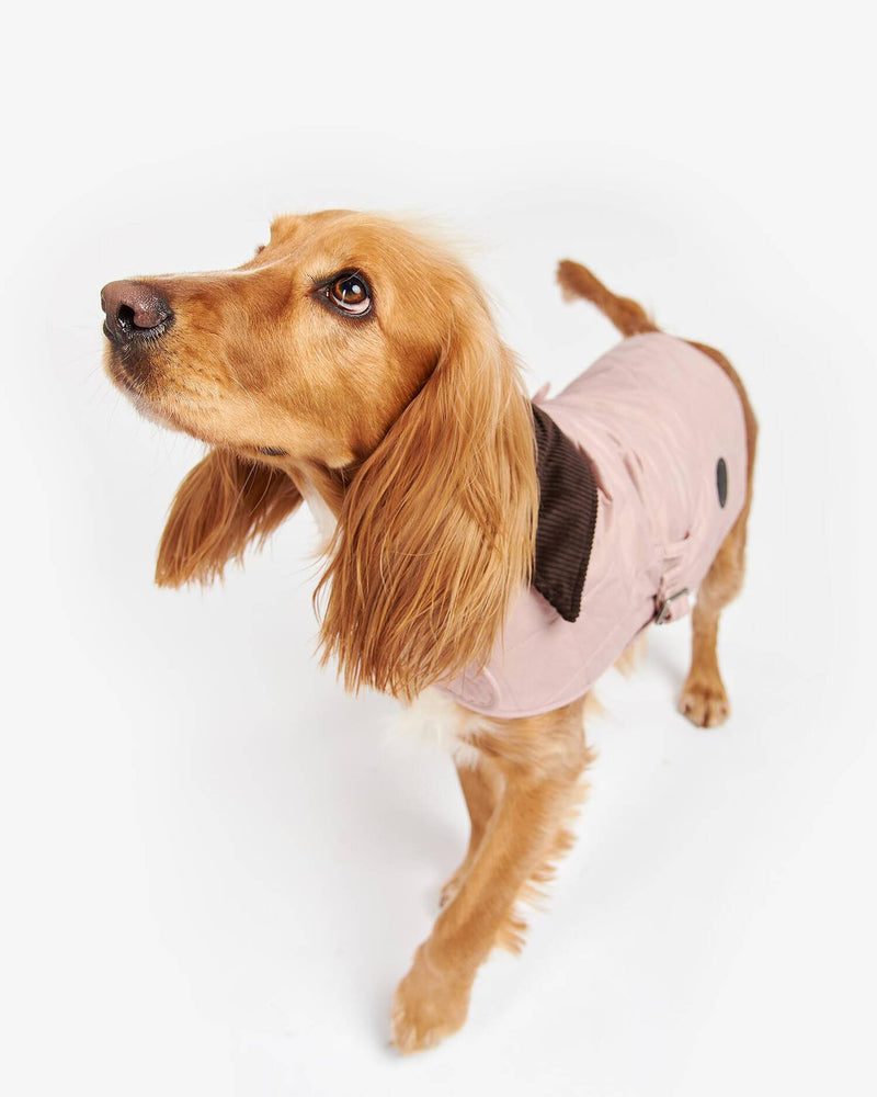 An image of the Barbour Barbour Quilted Dog Coat