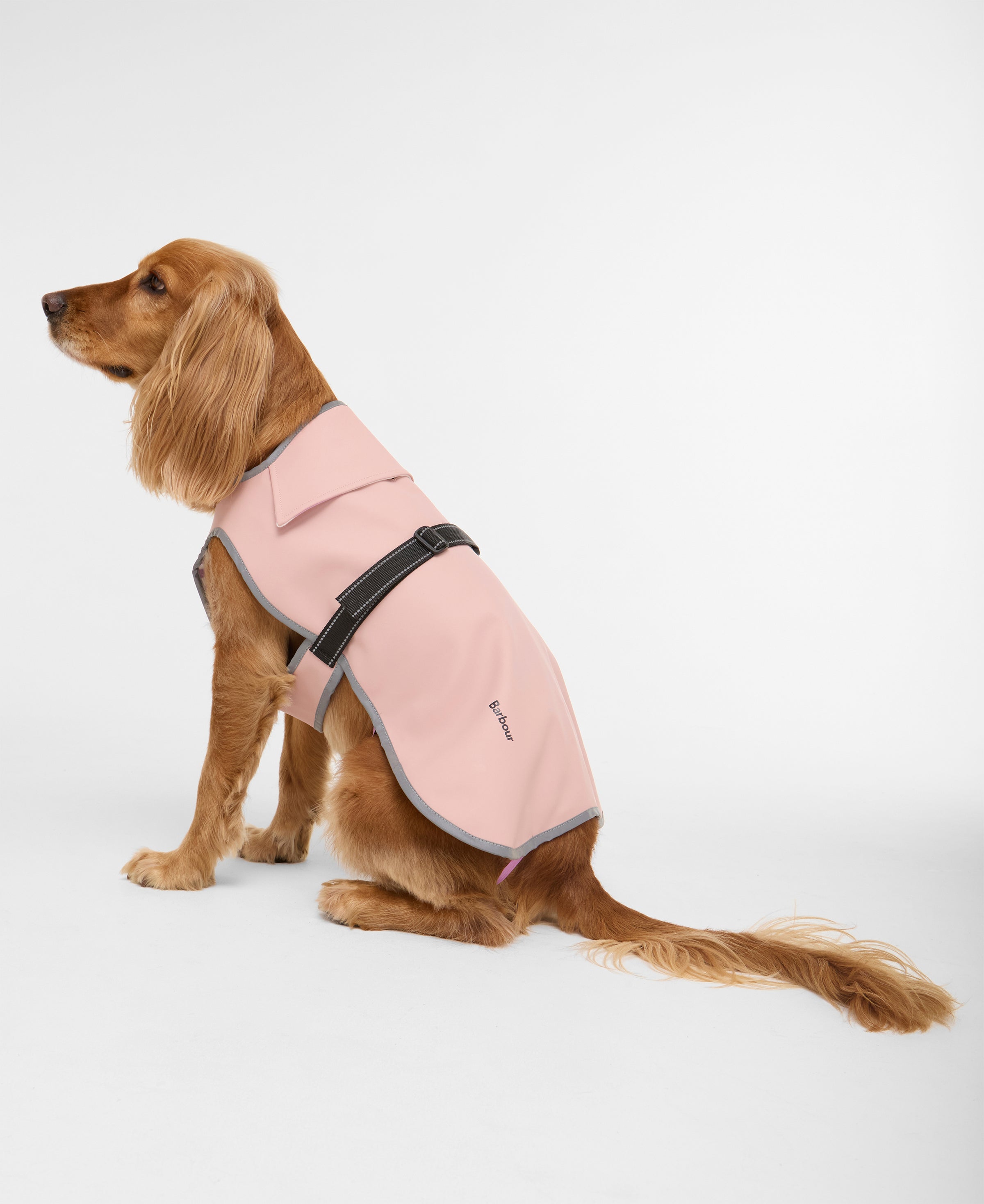 Barbour Evie Waterproof Dog Coat