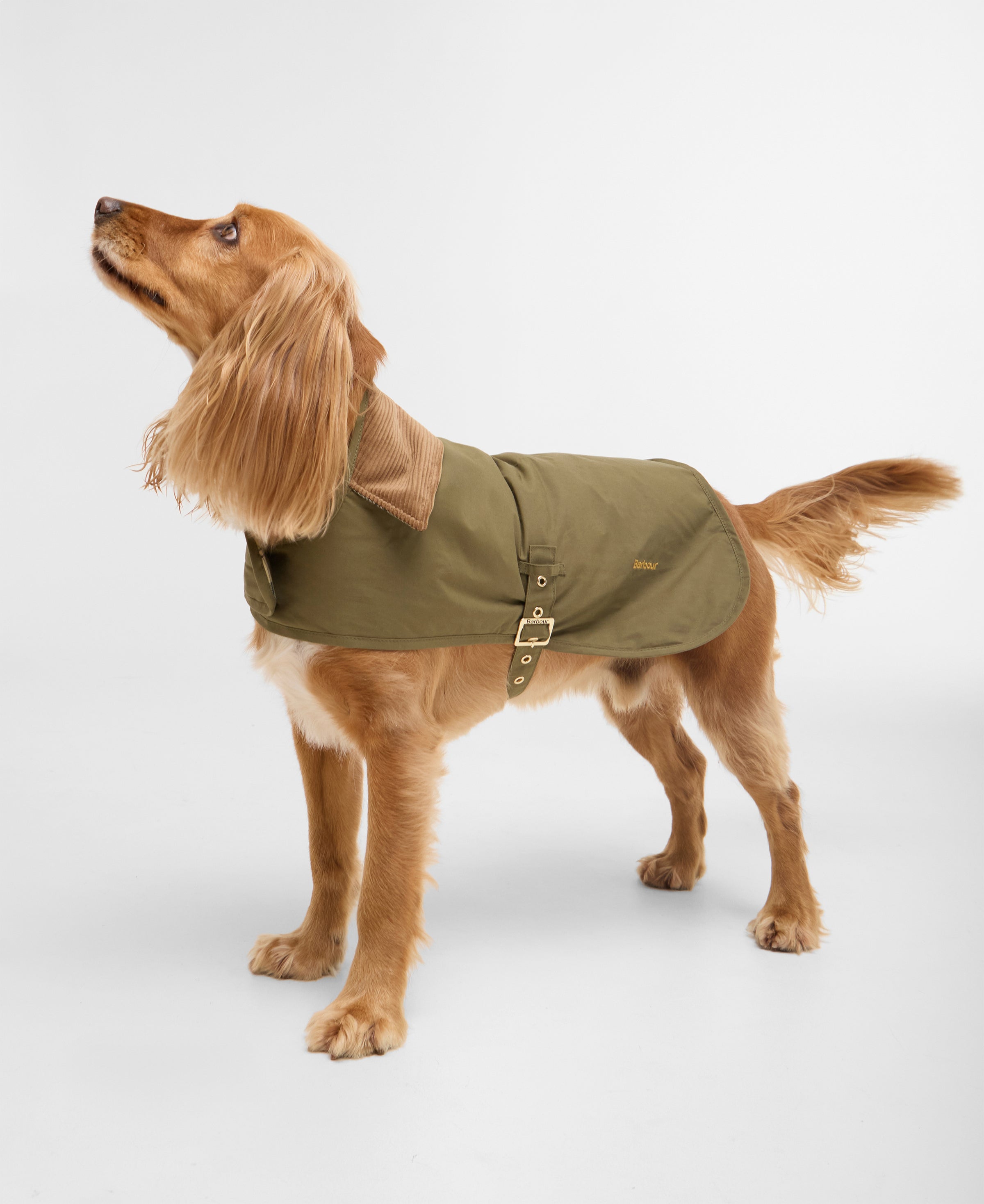 Barbour Transport Dog Coat