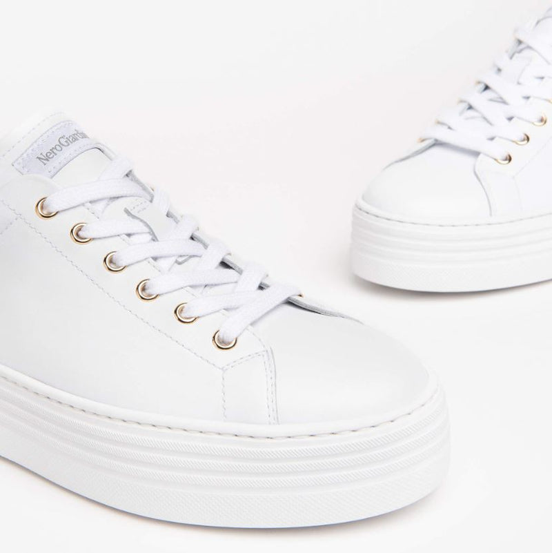 An image of the Nero Giardini Skipper Trainer