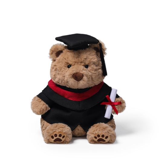 Graduation Raffles Bear