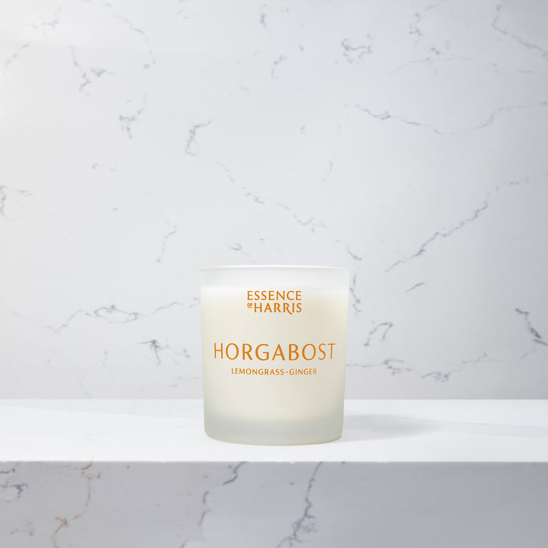 An image of the Essence of Harris Single Wick Candle