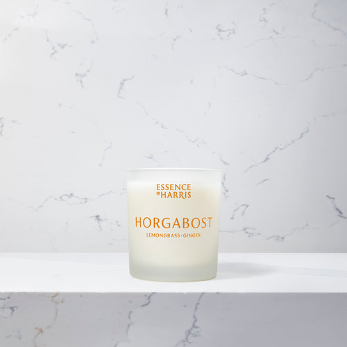 An image of the Essence of Harris Single Wick Candle