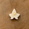 An image of the Ivy & Twine Wax Melts - Box Of 10