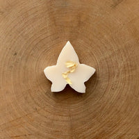 An image of the Ivy & Twine Wax Melts - Box Of 10