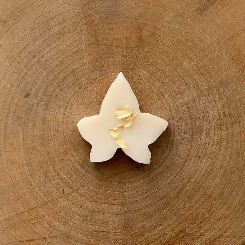 An image of the Ivy & Twine Wax Melts - Box Of 10