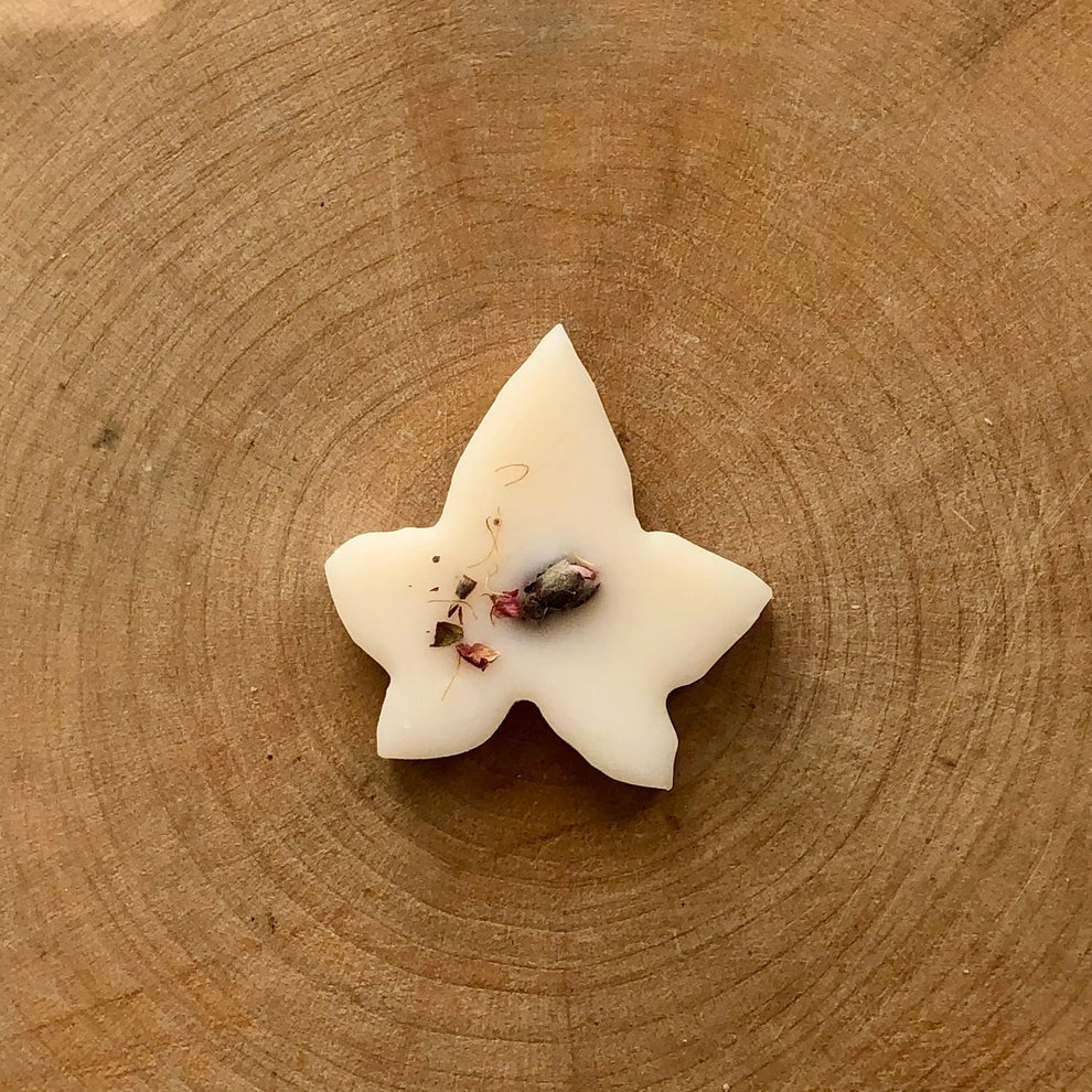 An image of the Ivy & Twine Wax Melts - Box Of 10