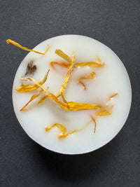 An image of the Hollie Tree Wax Melts