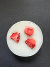 An image of the Hollie Tree Wax Melts