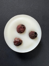 An image of the Hollie Tree Wax Melts