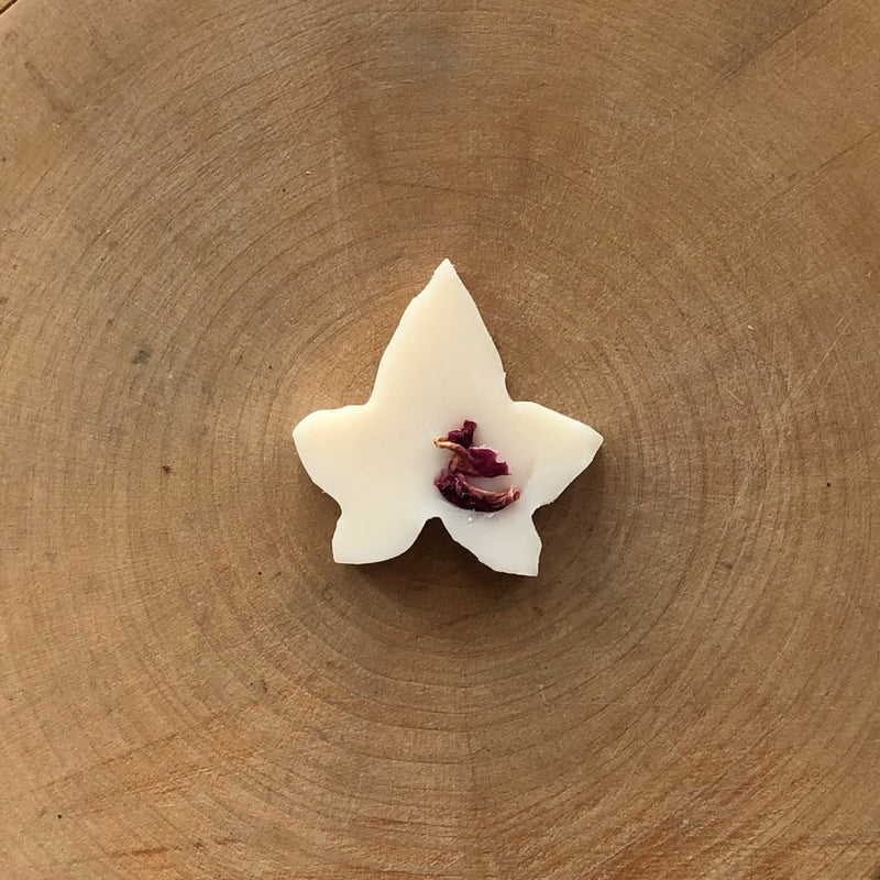 An image of the Ivy & Twine Wax Melts - Box Of 10