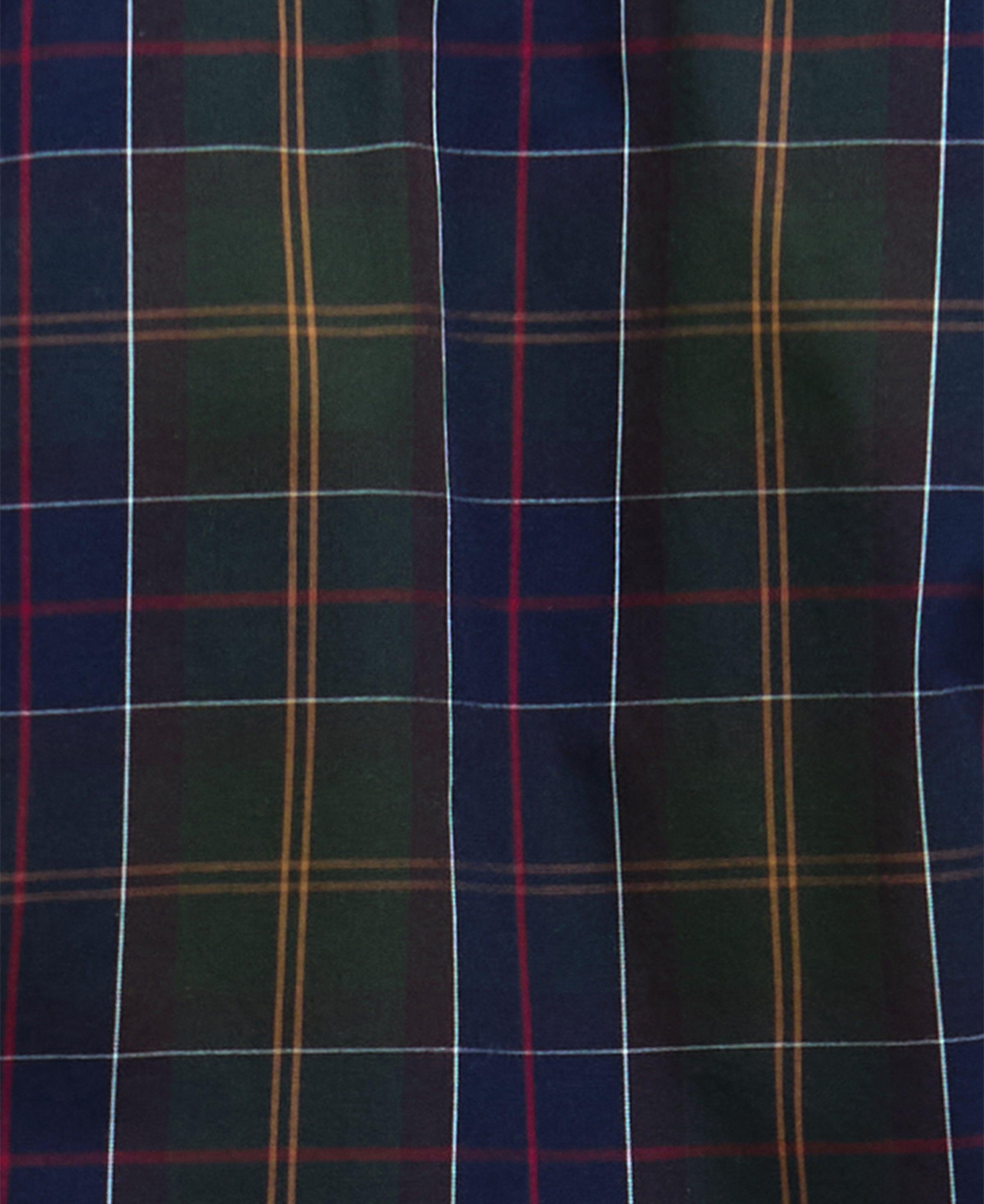 An image of the Barbour Kenton Checked Tailored Shirt