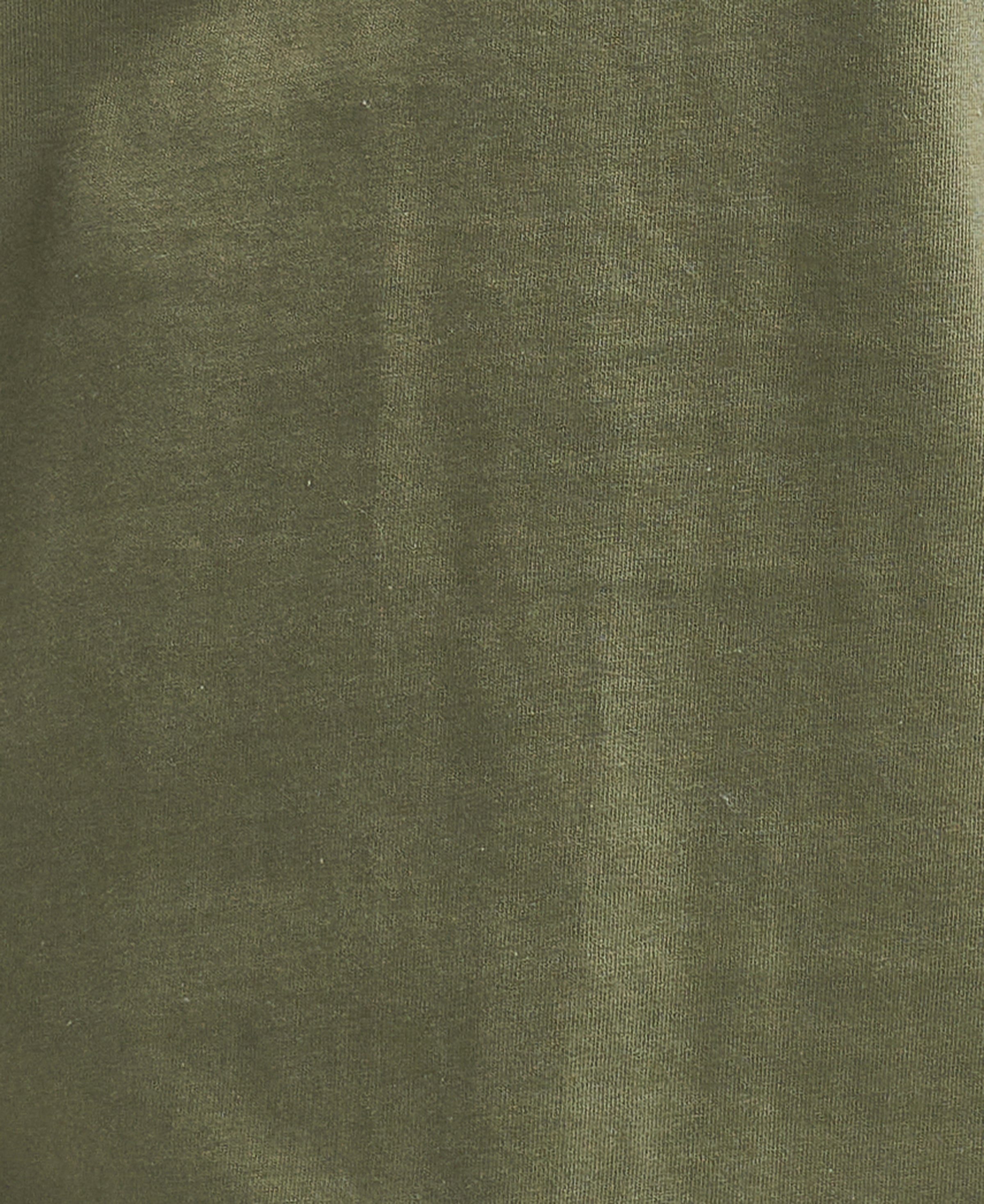 An image of the Barbour Field Dog T-Shirt