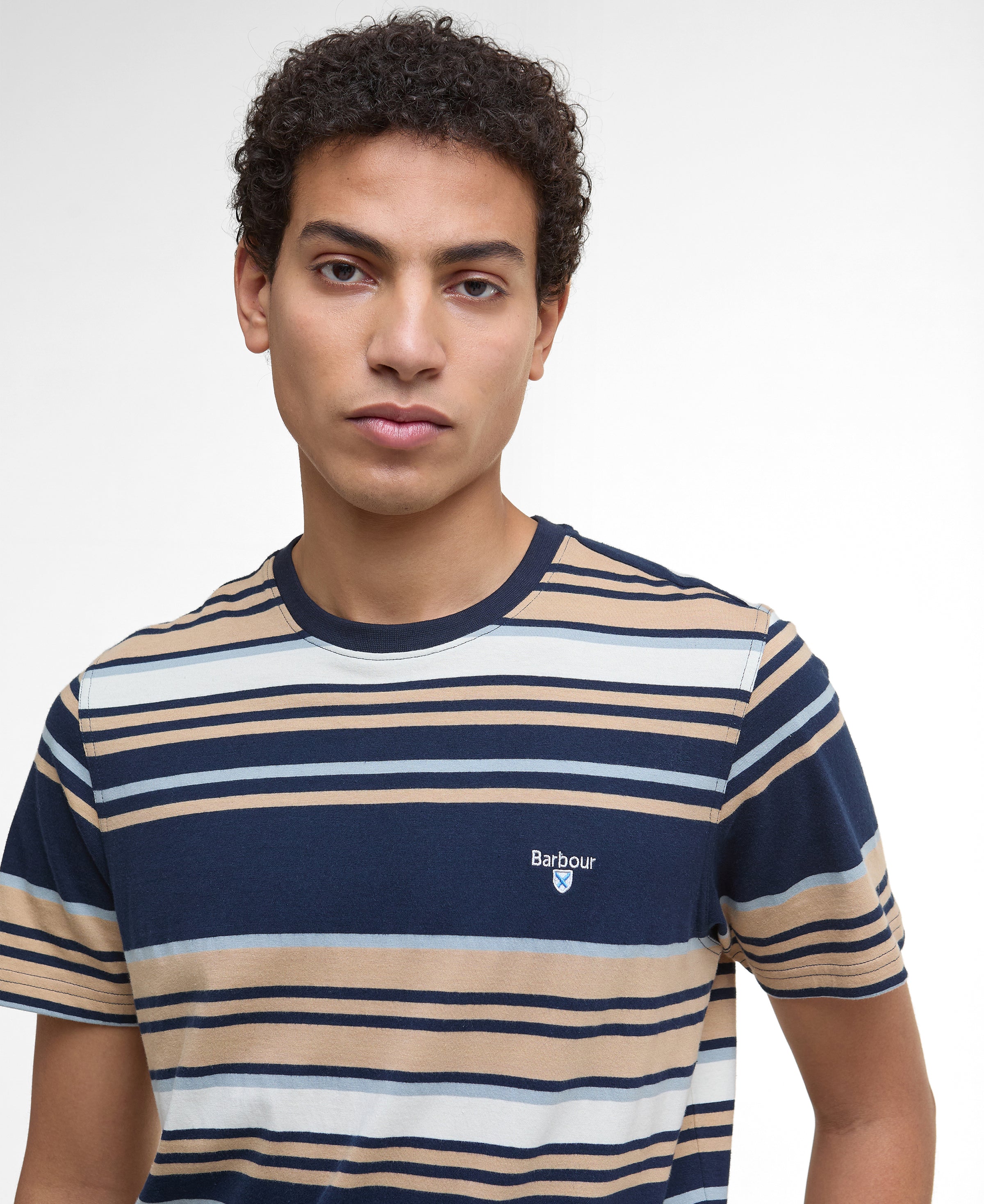 An image of the Barbour Aickmen Tailored Striped T-Shirt