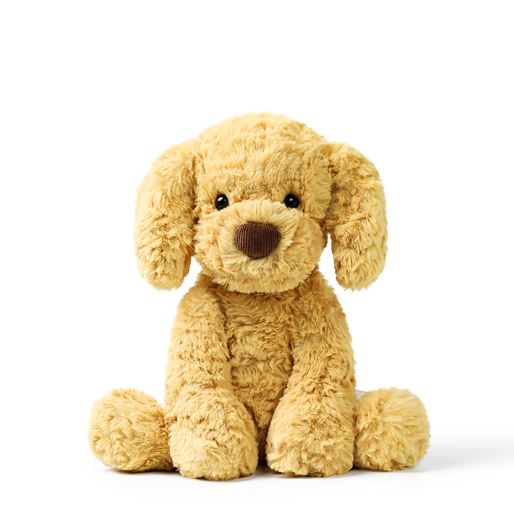 Maltip Puppy
