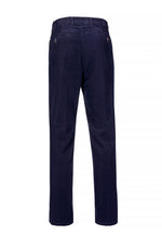 An image of the Bruhl Trouser Pamra B