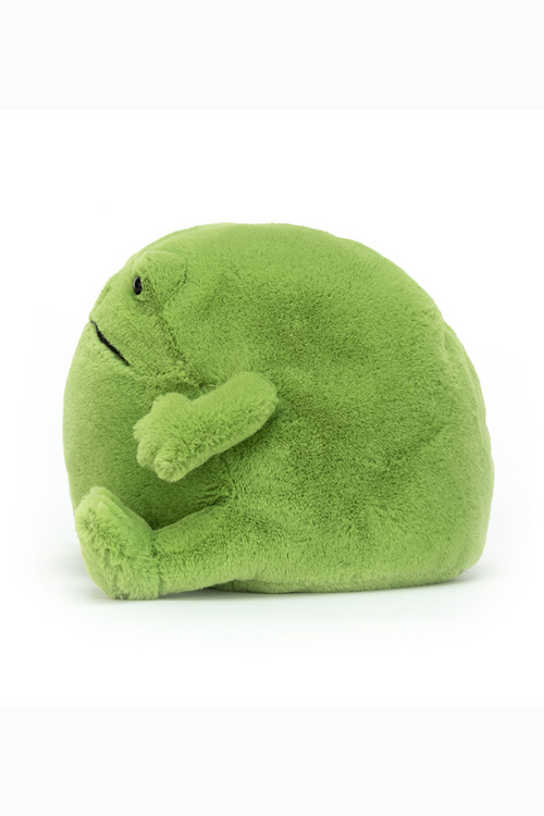 Ricky Rain Frog. A green soft toy frog with round body and grumpy face.