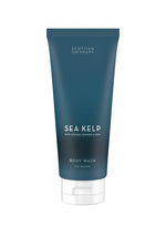 An image of the Scottish Fine Soaps Body Wash 200ml Tube