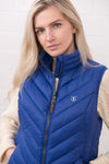 An image of the Lighthouse Laurel Ladies Gilet