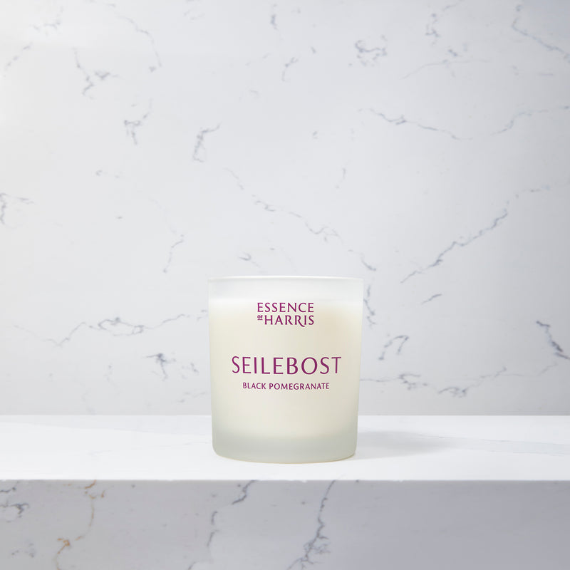 An image of the Essence of Harris Single Wick Candle