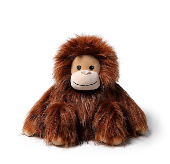Simba Orangutan