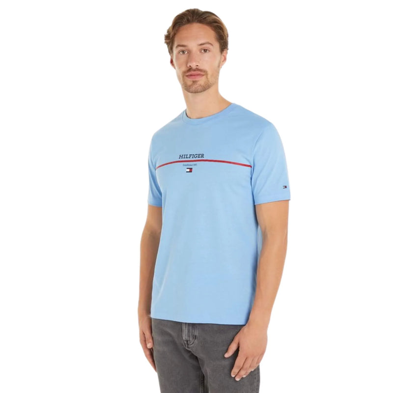 An image of the Tommy Hilfiger Hilfiger Stripe Tee