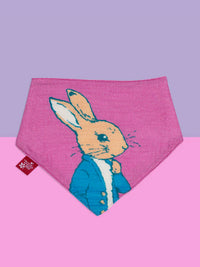 Peter Rabbit Love Summer Muslin 2pk Bib