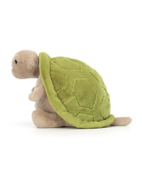 Timmy Turtle