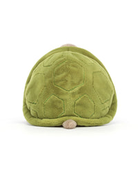 Timmy Turtle