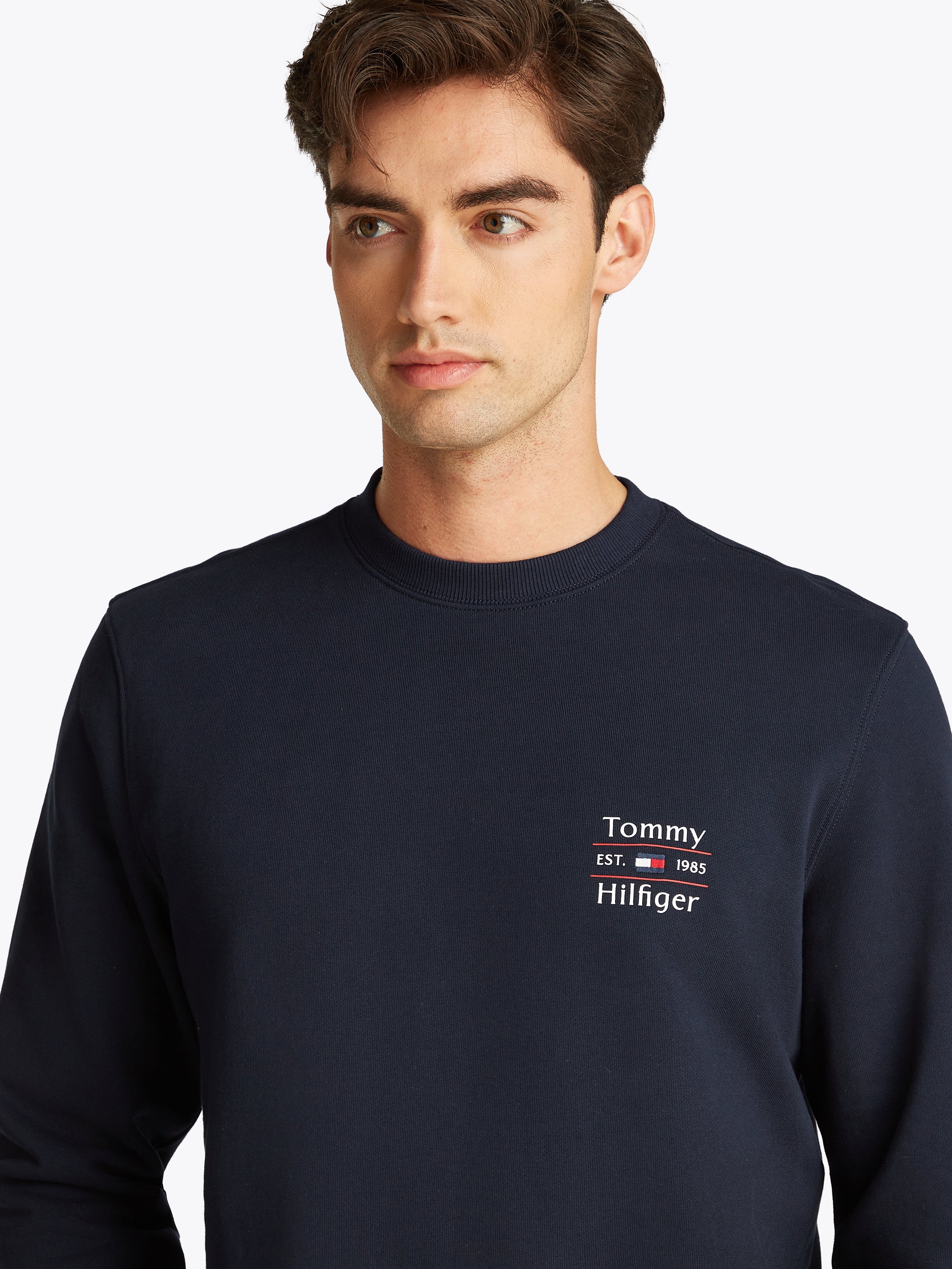 An image of the Tommy Hilfiger Hilfiger Stack Sweatshirt