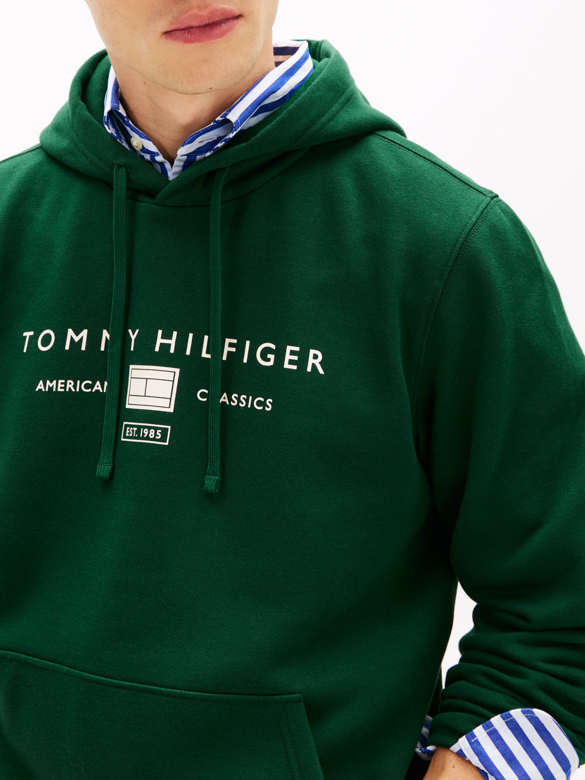 An image of the Tommy Hilfiger Logo Terry Drawstring Hoodie