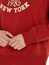 An image of the Tommy Hilfiger Varsity Logo Embroidery Hoodie