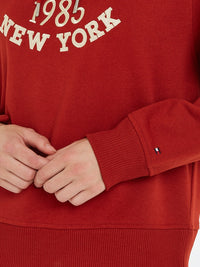An image of the Tommy Hilfiger Varsity Logo Embroidery Hoodie