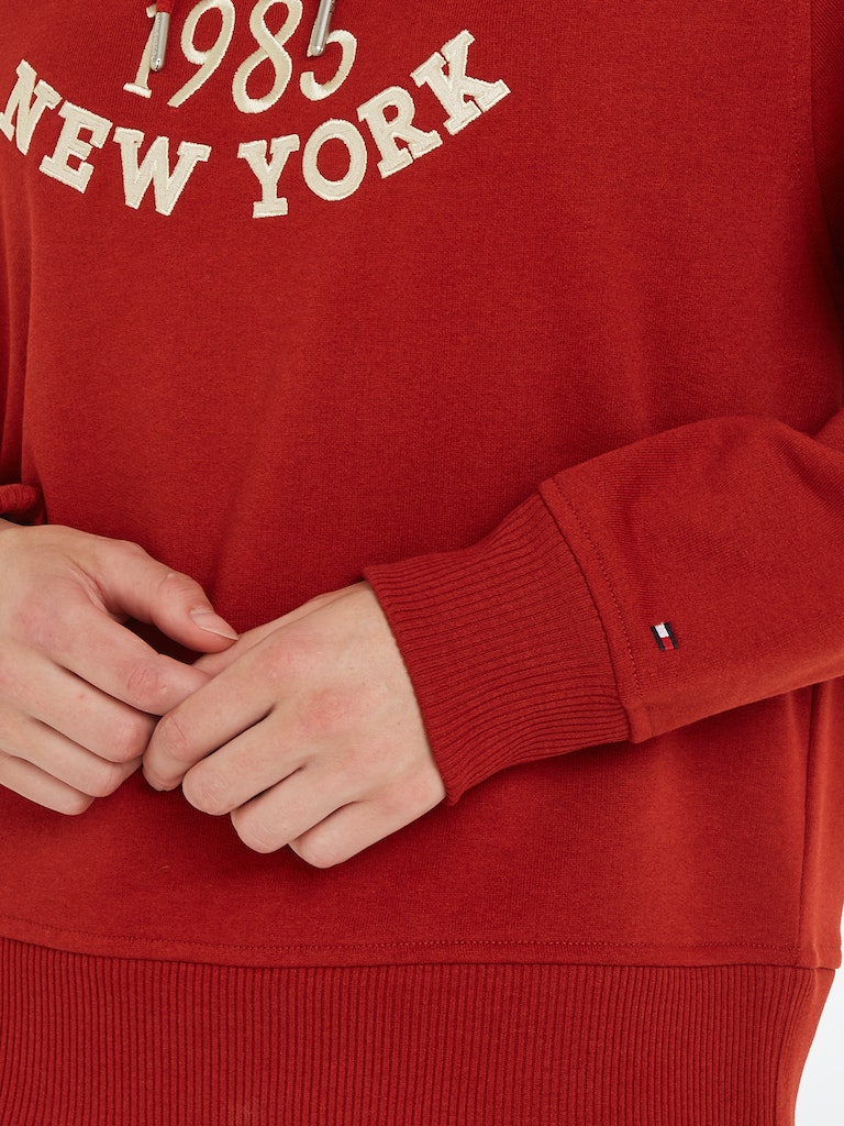 An image of the Tommy Hilfiger Varsity Logo Embroidery Hoodie