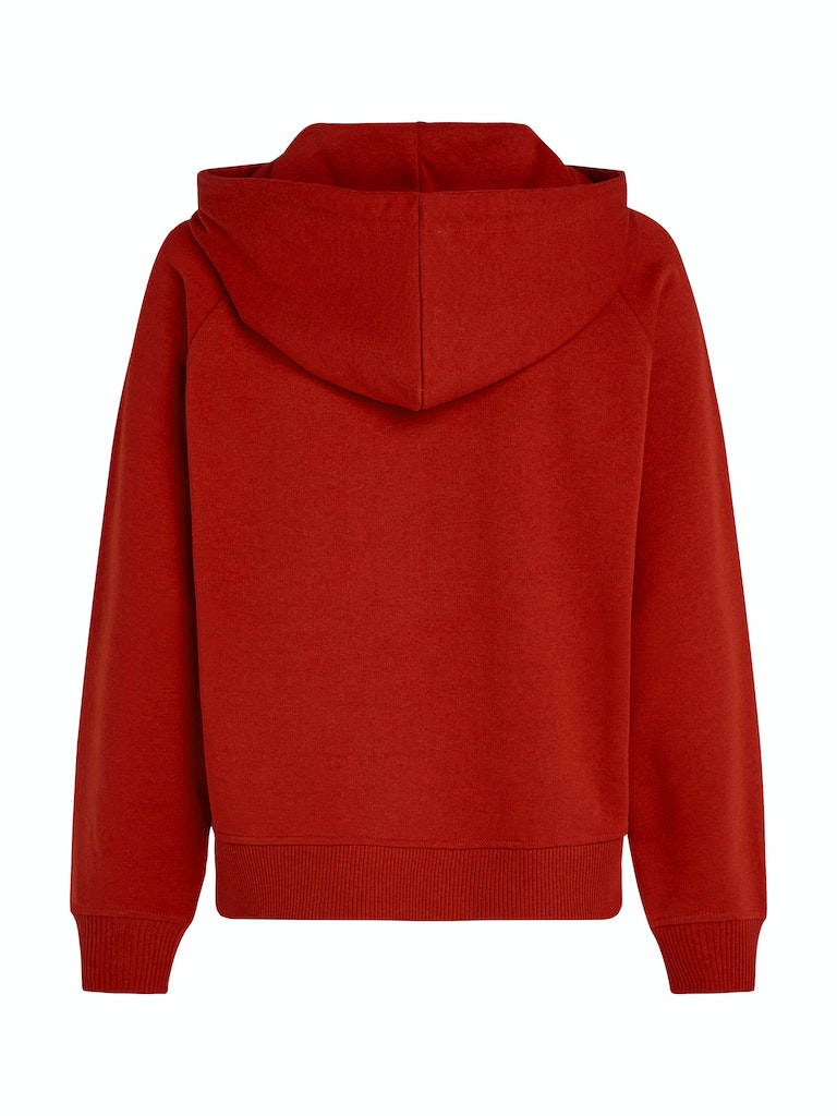 An image of the Tommy Hilfiger Varsity Logo Embroidery Hoodie