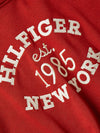 An image of the Tommy Hilfiger Varsity Logo Embroidery Hoodie